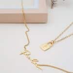 COLLAR INICIAL LOCKET